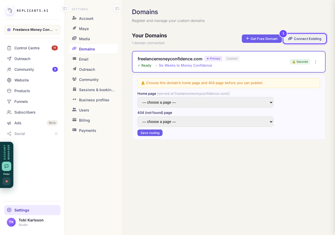 Settings, then Domains, and Connect Existing.