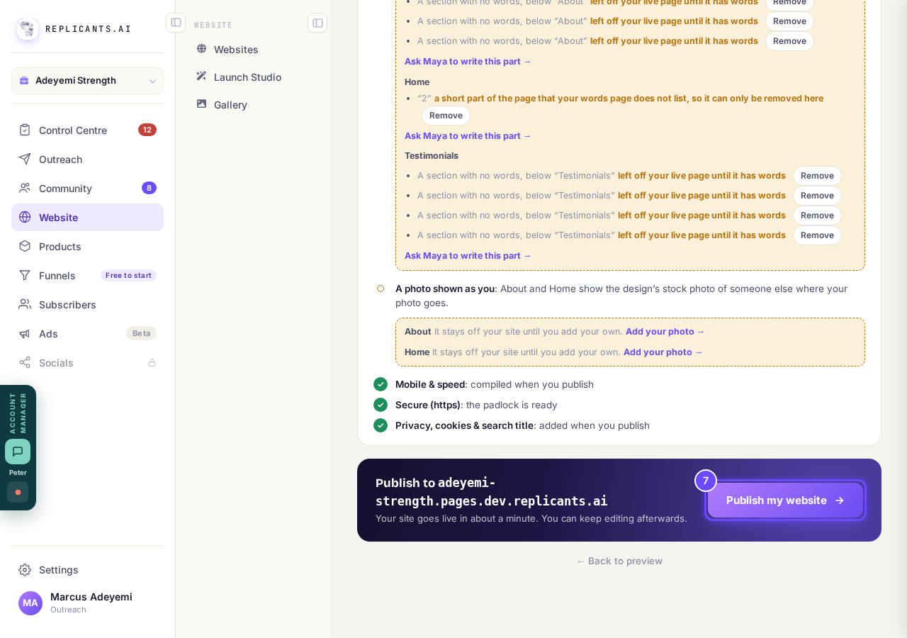 Publish my website, at the bottom of the screen.