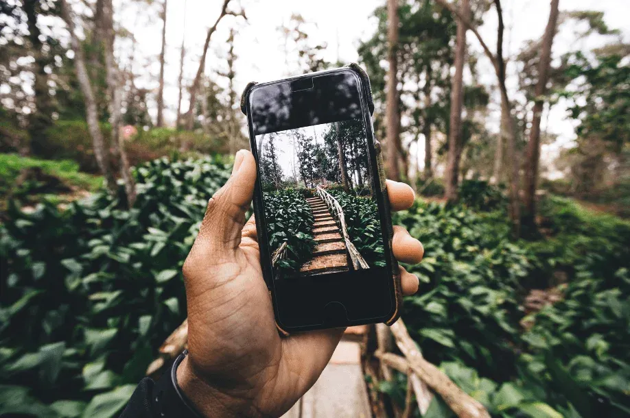 A hand filming a forest path with a smartphone